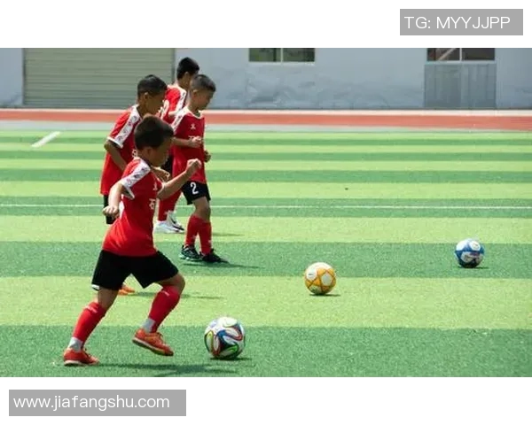 王敏独家分享足球心得与技巧助你提升球技的秘密解析