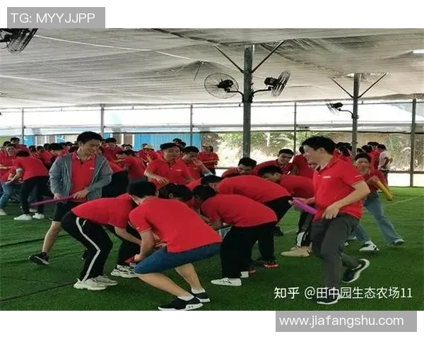 深圳飞盘队的奋斗与荣耀:极限运动会背后的故事与突破历程 深圳飞盘队的奋斗与荣耀:极限运动会背后的故事与突破历程