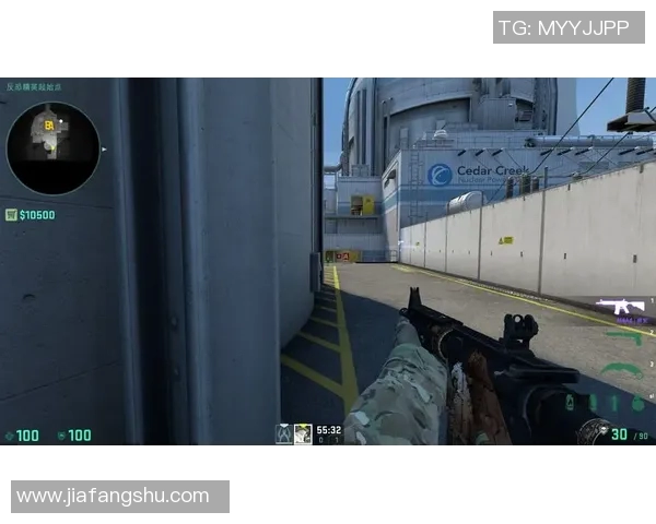 深入解析JDG战队的防守体系与战术布局在CSGO中的应用与优势