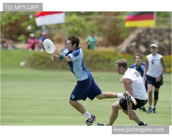 西安飞盘队实力飙升再创佳绩成为全国飞盘赛事新星 西安飞盘队实力飙升再创佳绩成为全国飞盘赛事新星