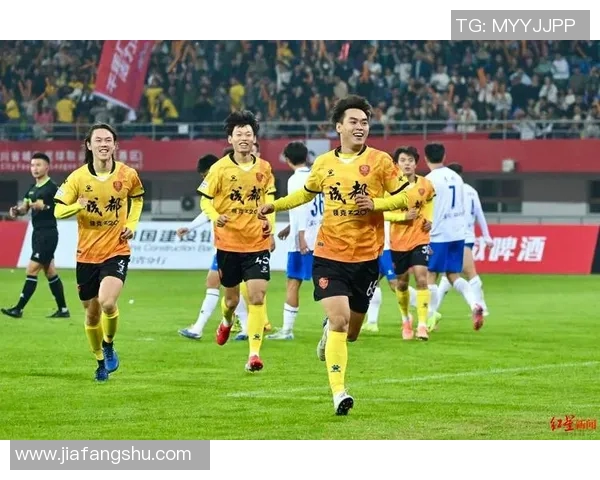 成都足球队实力解析与发展前景探讨