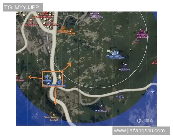 深入探讨RNG战队在比赛中的节奏表现与数据分析方法