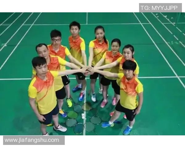 羽毛球纪实：见证杭州羽毛球队转型与发展的奋斗历程