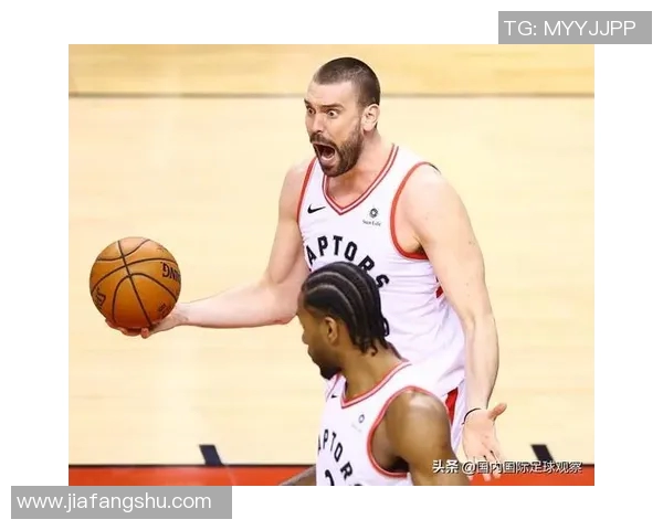 勇士与猛龙巅峰对决NBA总决赛精彩瞬间回顾与分析