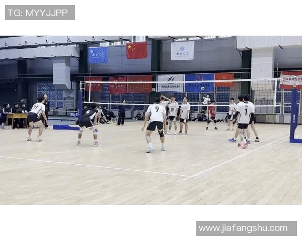 西安排球队实力对比深度剖析与未来发展趋势探讨