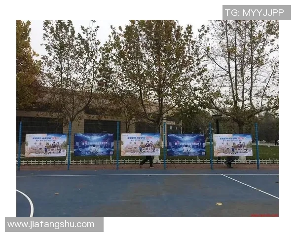 张敏独家分享篮球心得与技巧提升之道助你成为球场明星